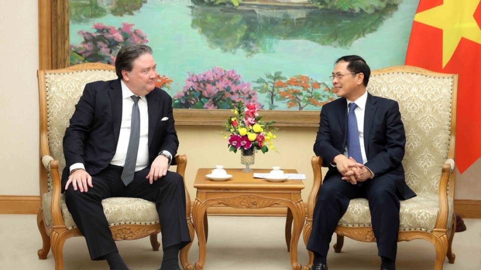 Deputy PM Bui Thanh Son receives US Ambassador E. Knapper